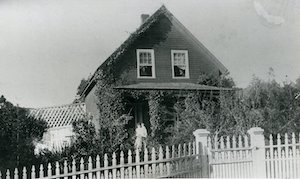 A house covered in vines with trees on either side behind a fence