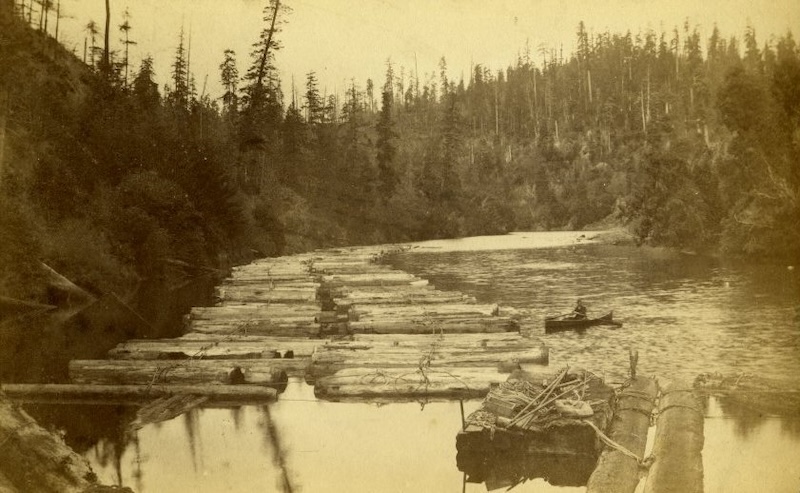 River scene with rafts of logs tied together