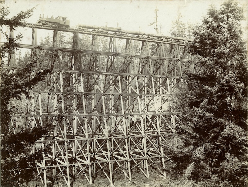 Train crossing large trestle